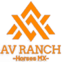 AV